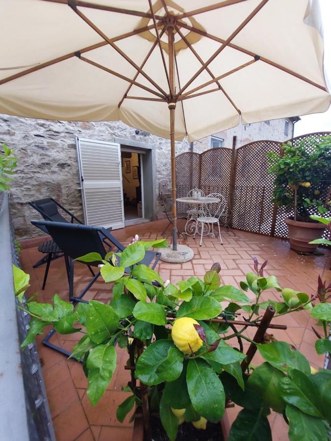 Villa Casina Laura Capannori Esterno foto